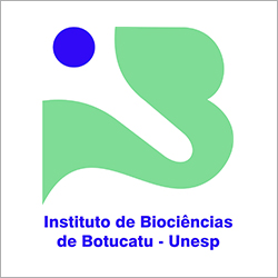 Logotipo IBB